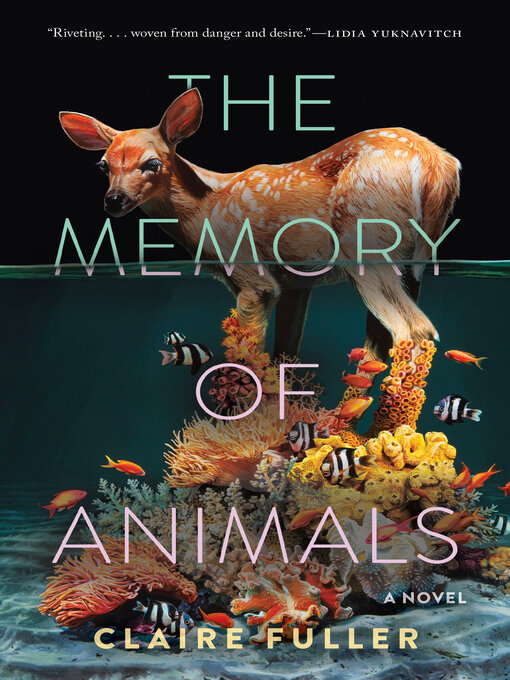 Title details for The Memory of Animals by Claire Fuller - Wait list